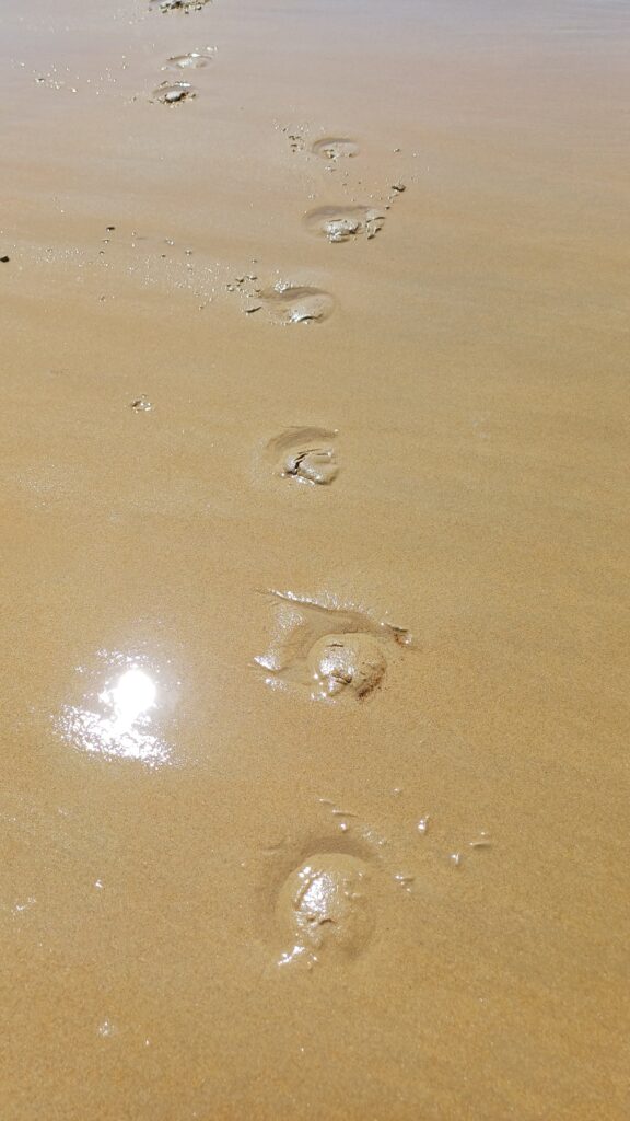 MB - tracks in sand