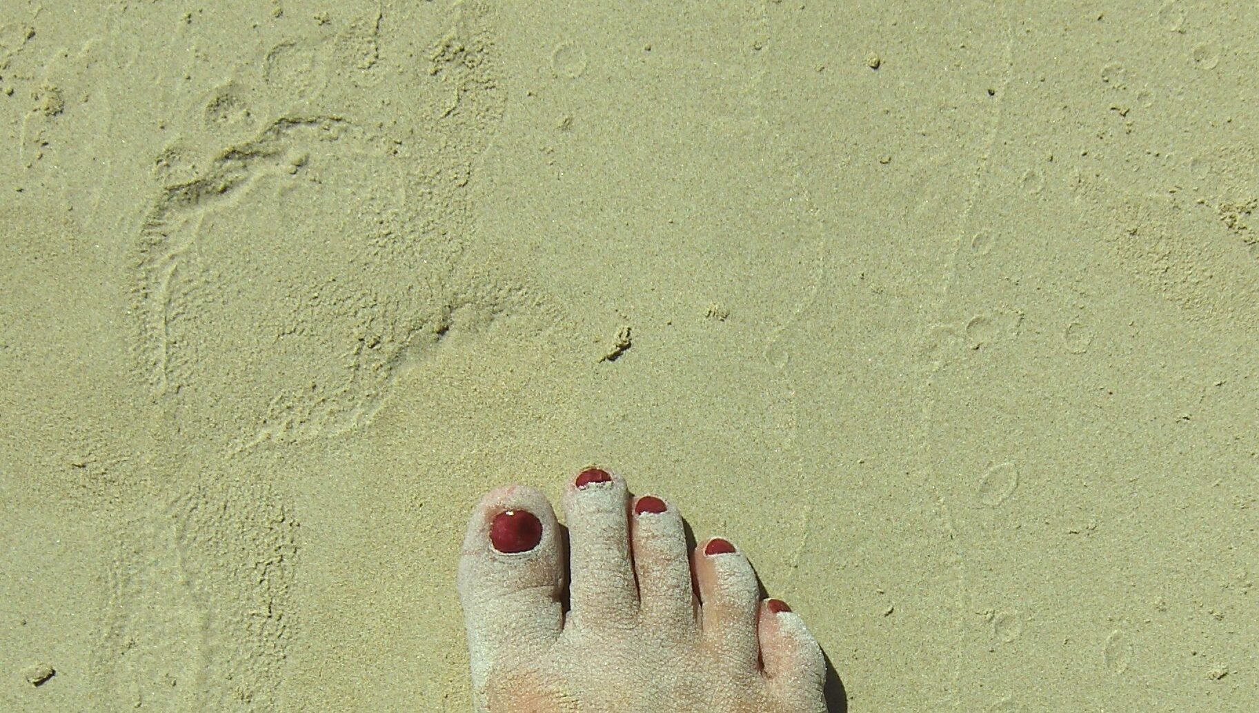 Shadow